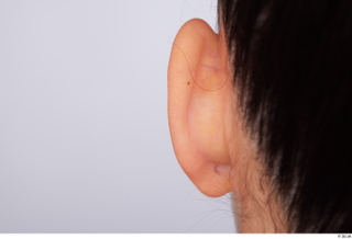 Suleika ear 0004.jpg